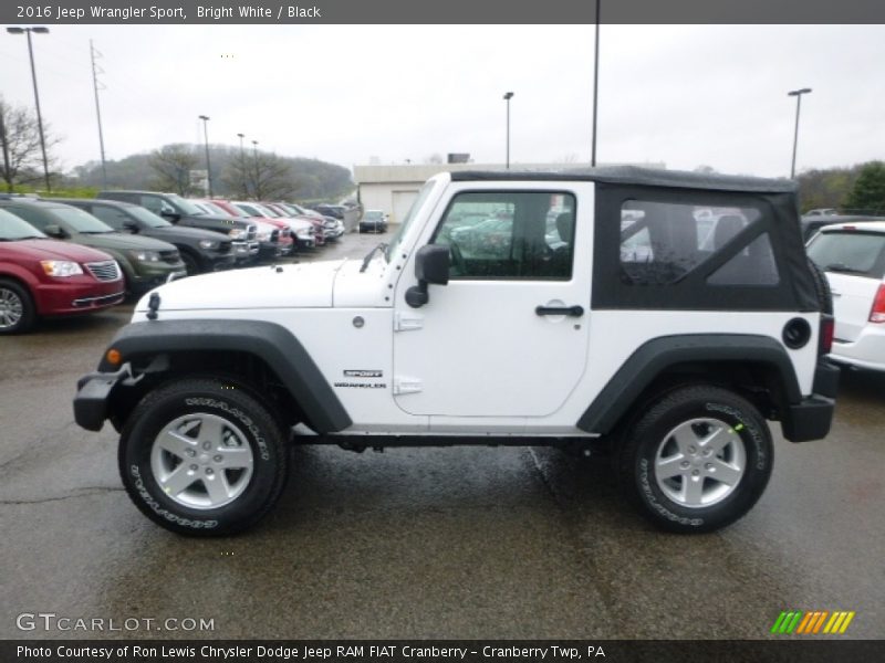 Bright White / Black 2016 Jeep Wrangler Sport