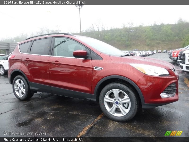 Sunset Metallic / Charcoal Black 2016 Ford Escape SE 4WD
