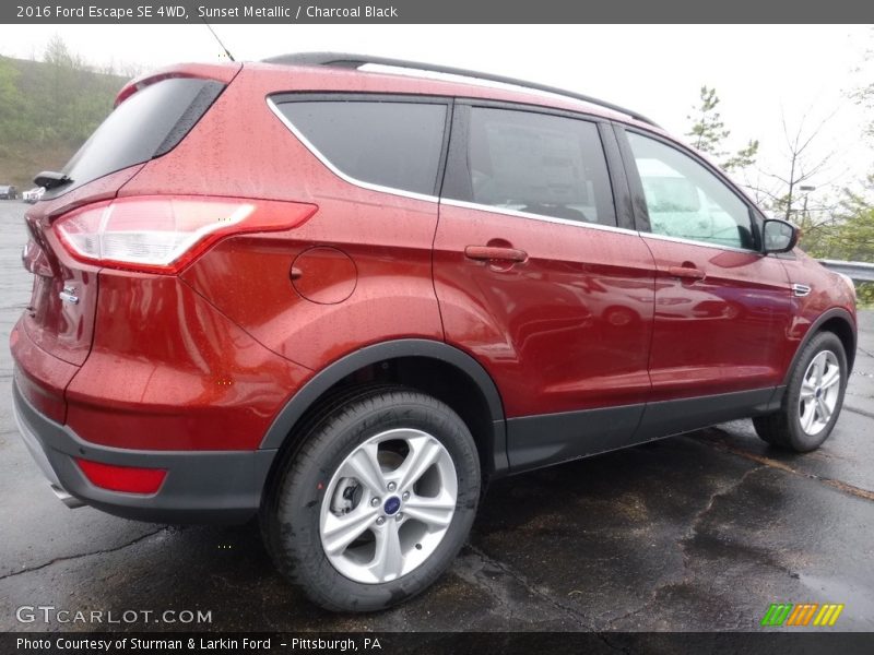 Sunset Metallic / Charcoal Black 2016 Ford Escape SE 4WD