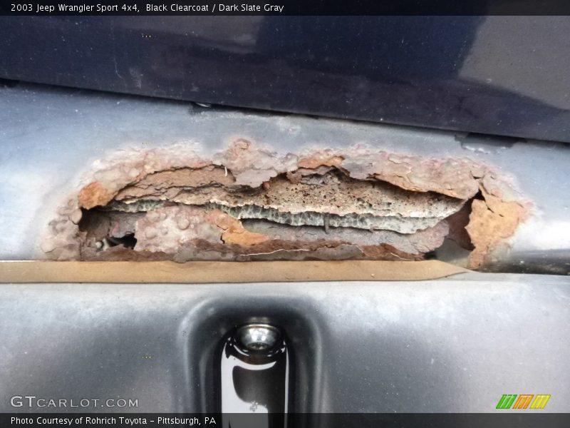 Black Clearcoat / Dark Slate Gray 2003 Jeep Wrangler Sport 4x4