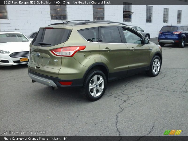 Ginger Ale Metallic / Charcoal Black 2013 Ford Escape SE 1.6L EcoBoost 4WD