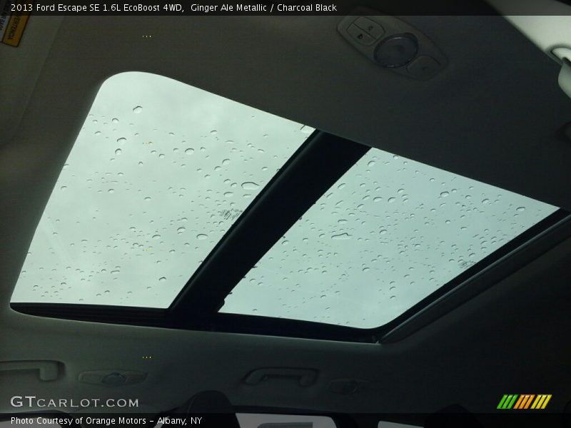 Ginger Ale Metallic / Charcoal Black 2013 Ford Escape SE 1.6L EcoBoost 4WD