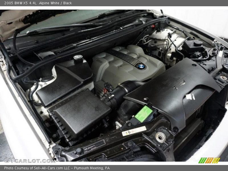Alpine White / Black 2005 BMW X5 4.4i