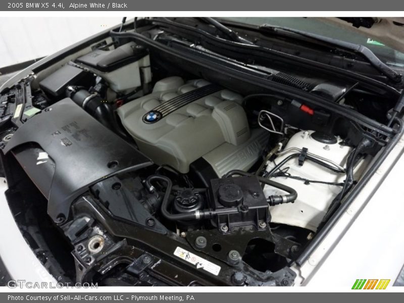 Alpine White / Black 2005 BMW X5 4.4i