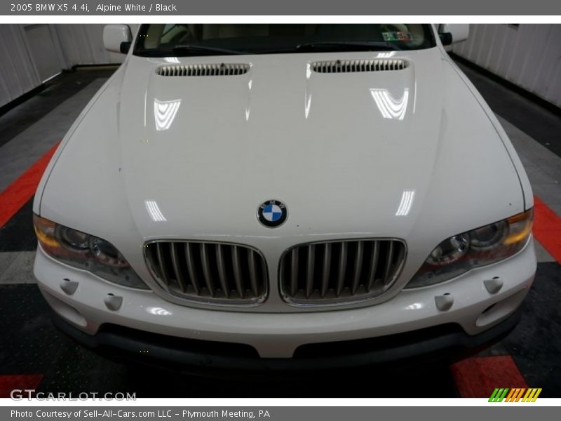 Alpine White / Black 2005 BMW X5 4.4i