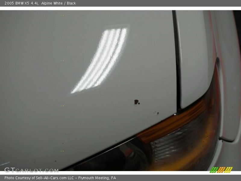 Alpine White / Black 2005 BMW X5 4.4i