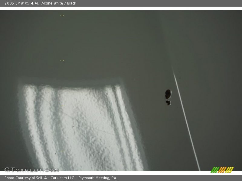 Alpine White / Black 2005 BMW X5 4.4i