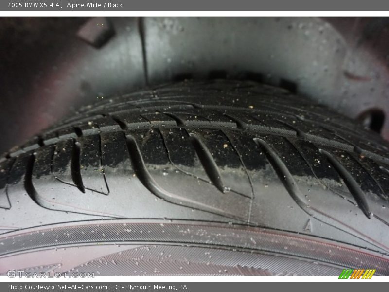 Alpine White / Black 2005 BMW X5 4.4i