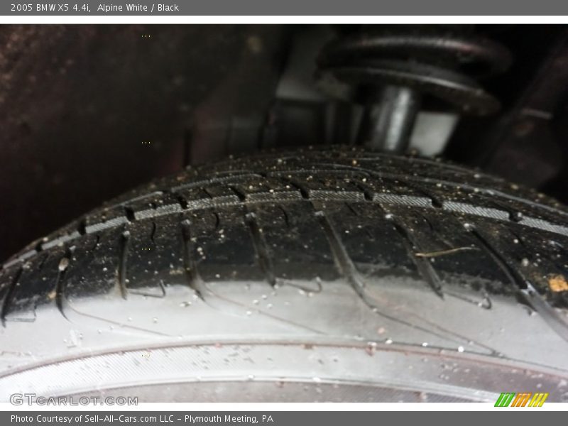Alpine White / Black 2005 BMW X5 4.4i