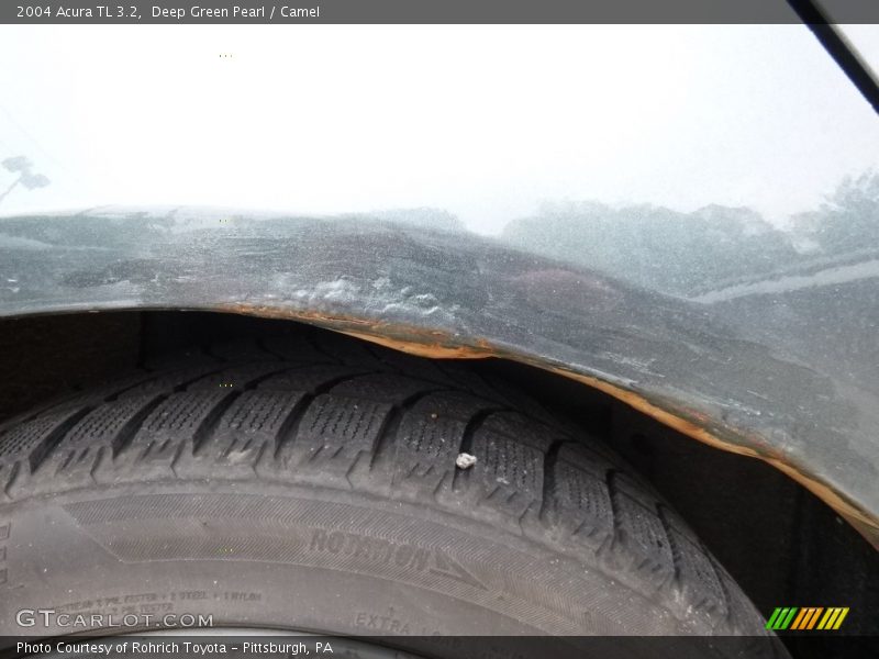 Deep Green Pearl / Camel 2004 Acura TL 3.2