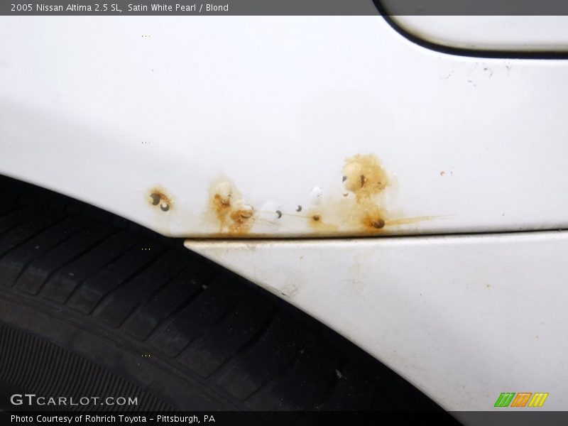 Satin White Pearl / Blond 2005 Nissan Altima 2.5 SL
