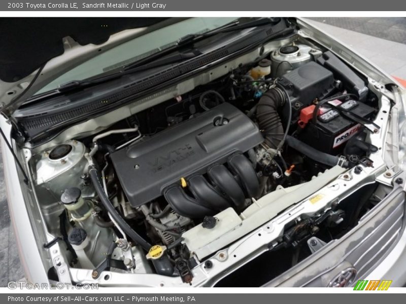 Sandrift Metallic / Light Gray 2003 Toyota Corolla LE