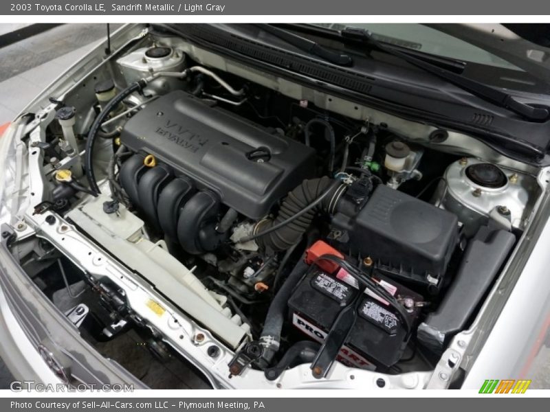 Sandrift Metallic / Light Gray 2003 Toyota Corolla LE