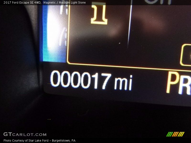 Magnetic / Medium Light Stone 2017 Ford Escape SE 4WD