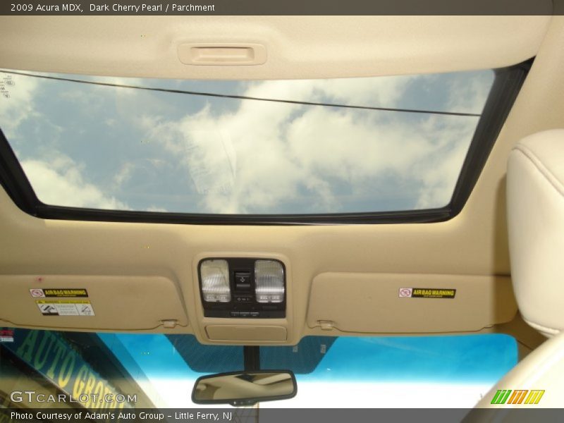 Dark Cherry Pearl / Parchment 2009 Acura MDX