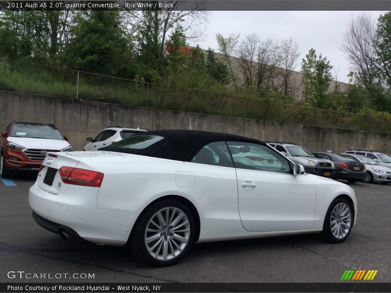 Ibis White / Black 2011 Audi A5 2.0T quattro Convertible