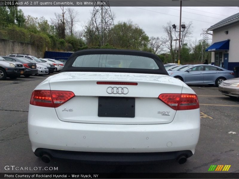 Ibis White / Black 2011 Audi A5 2.0T quattro Convertible