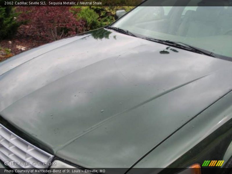 Sequoia Metallic / Neutral Shale 2002 Cadillac Seville SLS