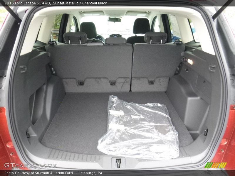 Sunset Metallic / Charcoal Black 2016 Ford Escape SE 4WD