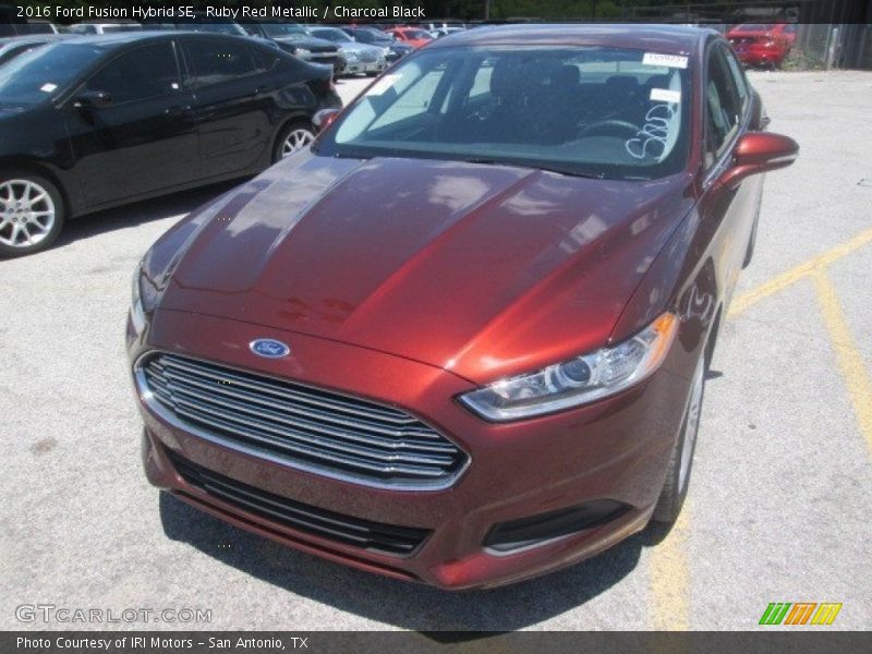 Ruby Red Metallic / Charcoal Black 2016 Ford Fusion Hybrid SE