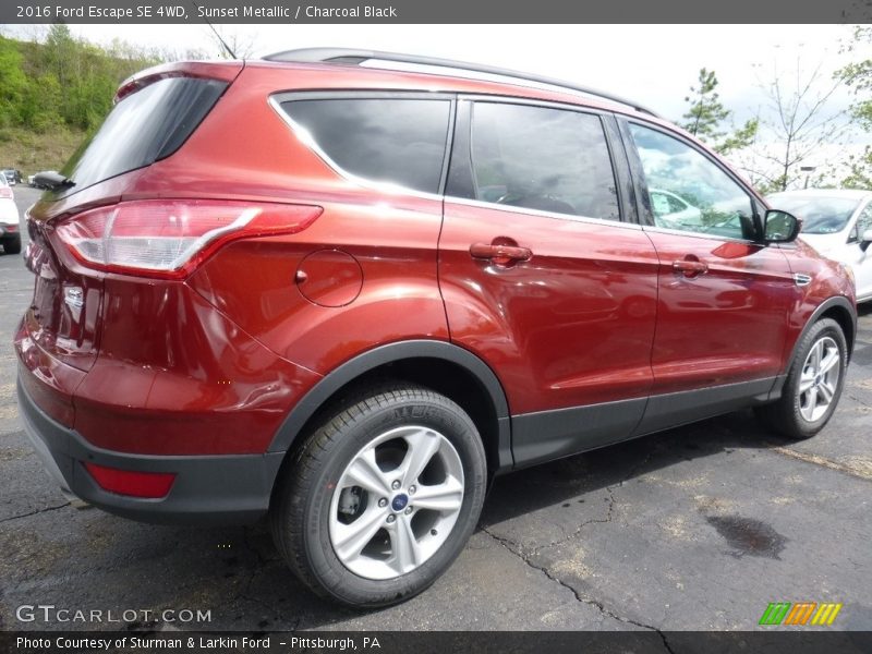 Sunset Metallic / Charcoal Black 2016 Ford Escape SE 4WD