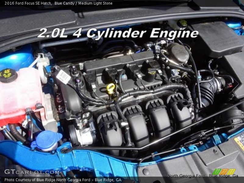 Blue Candy / Medium Light Stone 2016 Ford Focus SE Hatch
