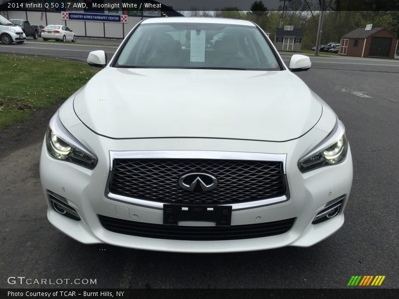 Moonlight White / Wheat 2014 Infiniti Q 50 3.7 AWD