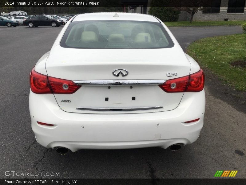Moonlight White / Wheat 2014 Infiniti Q 50 3.7 AWD