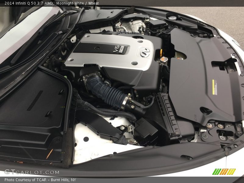 Moonlight White / Wheat 2014 Infiniti Q 50 3.7 AWD