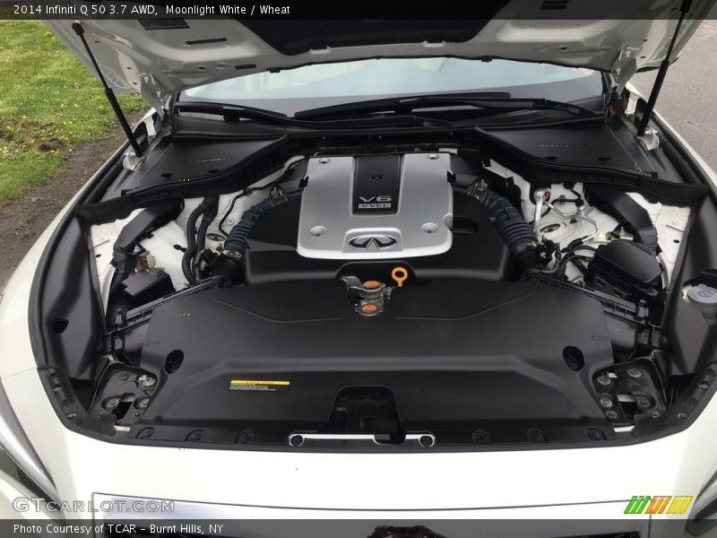 Moonlight White / Wheat 2014 Infiniti Q 50 3.7 AWD
