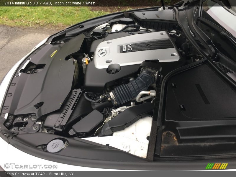 Moonlight White / Wheat 2014 Infiniti Q 50 3.7 AWD
