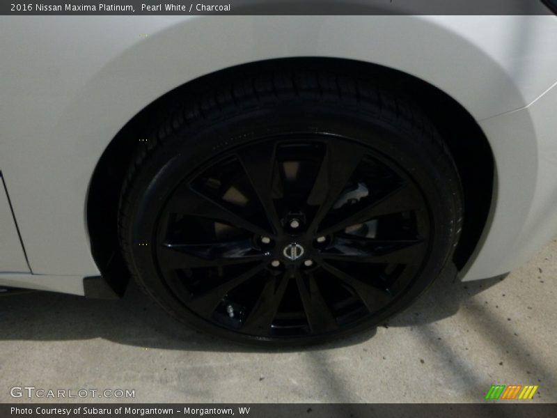 Pearl White / Charcoal 2016 Nissan Maxima Platinum