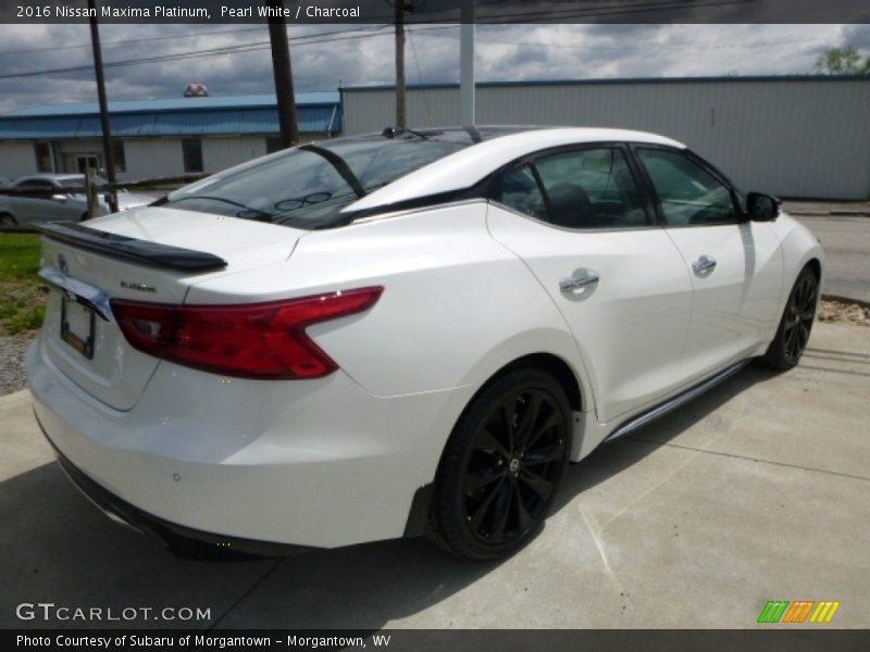 Pearl White / Charcoal 2016 Nissan Maxima Platinum