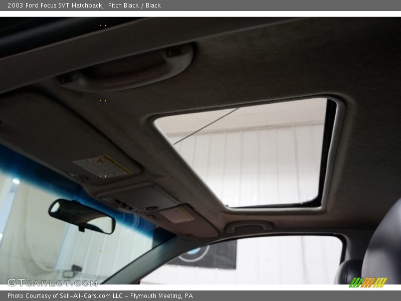 Pitch Black / Black 2003 Ford Focus SVT Hatchback