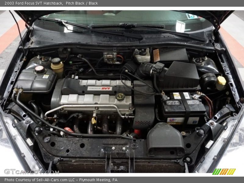 Pitch Black / Black 2003 Ford Focus SVT Hatchback