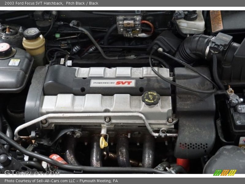 Pitch Black / Black 2003 Ford Focus SVT Hatchback