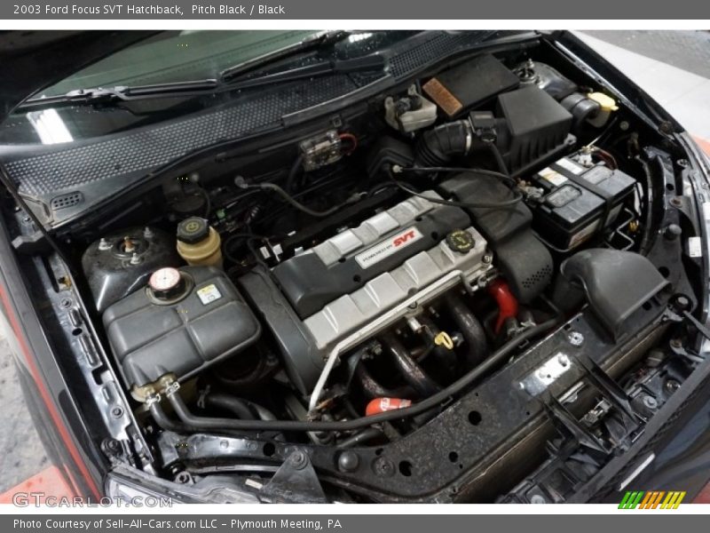 Pitch Black / Black 2003 Ford Focus SVT Hatchback