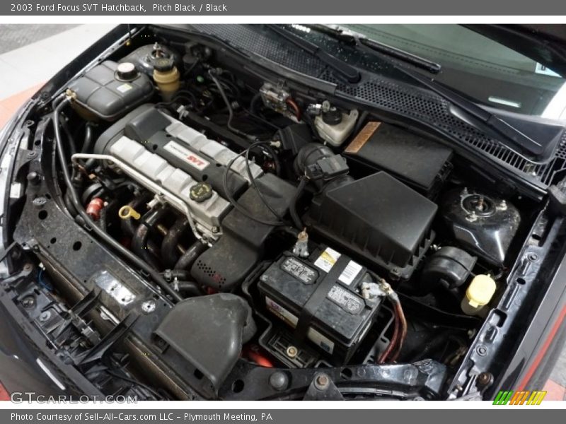 Pitch Black / Black 2003 Ford Focus SVT Hatchback