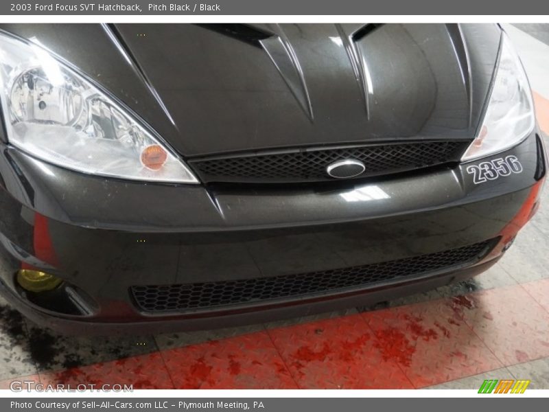 Pitch Black / Black 2003 Ford Focus SVT Hatchback