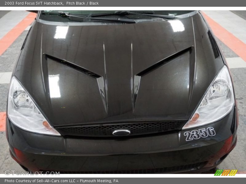 Pitch Black / Black 2003 Ford Focus SVT Hatchback
