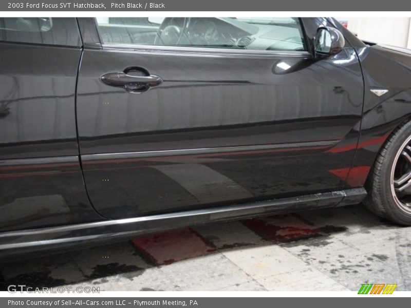 Pitch Black / Black 2003 Ford Focus SVT Hatchback