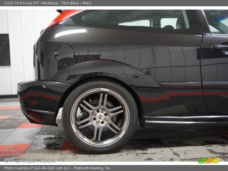 Pitch Black / Black 2003 Ford Focus SVT Hatchback