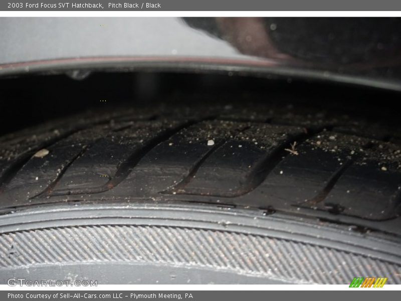 Pitch Black / Black 2003 Ford Focus SVT Hatchback
