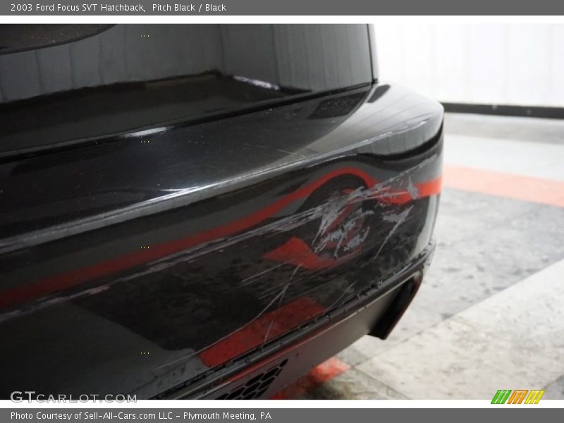 Pitch Black / Black 2003 Ford Focus SVT Hatchback