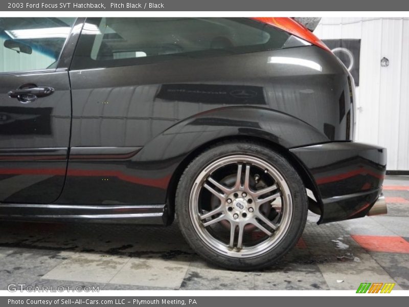 Pitch Black / Black 2003 Ford Focus SVT Hatchback