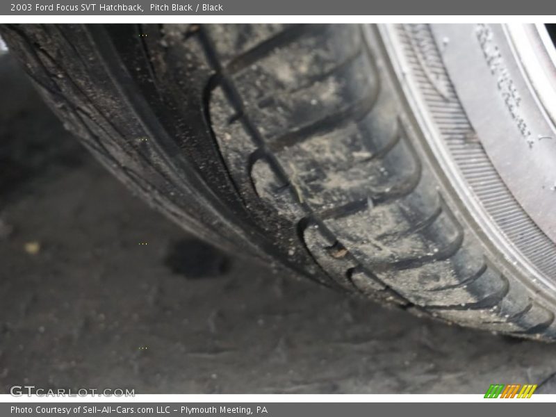 Pitch Black / Black 2003 Ford Focus SVT Hatchback