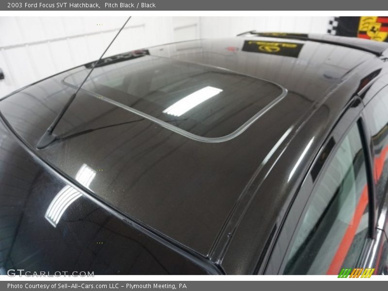Pitch Black / Black 2003 Ford Focus SVT Hatchback