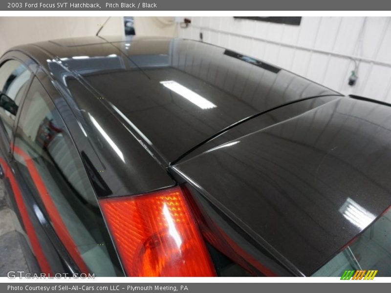 Pitch Black / Black 2003 Ford Focus SVT Hatchback