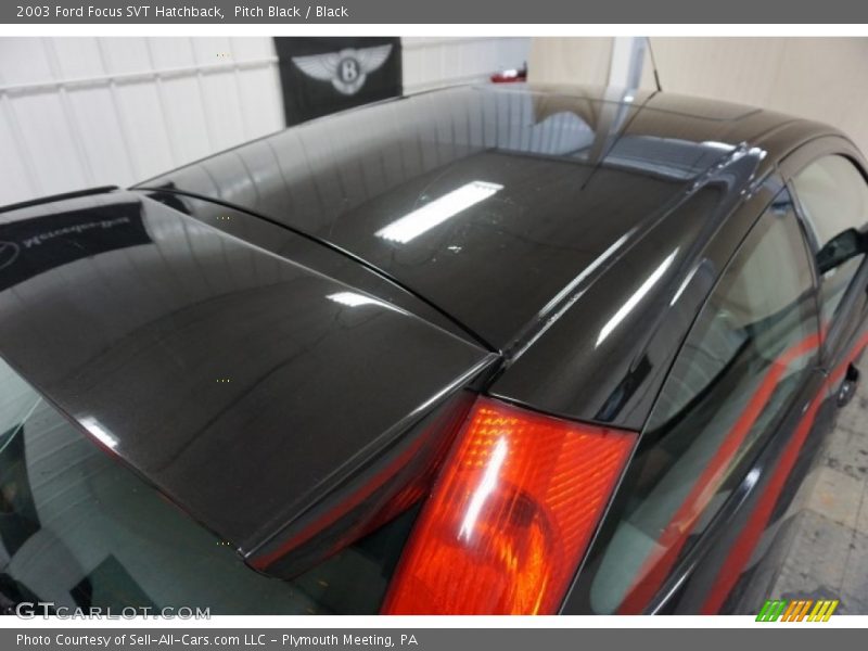 Pitch Black / Black 2003 Ford Focus SVT Hatchback