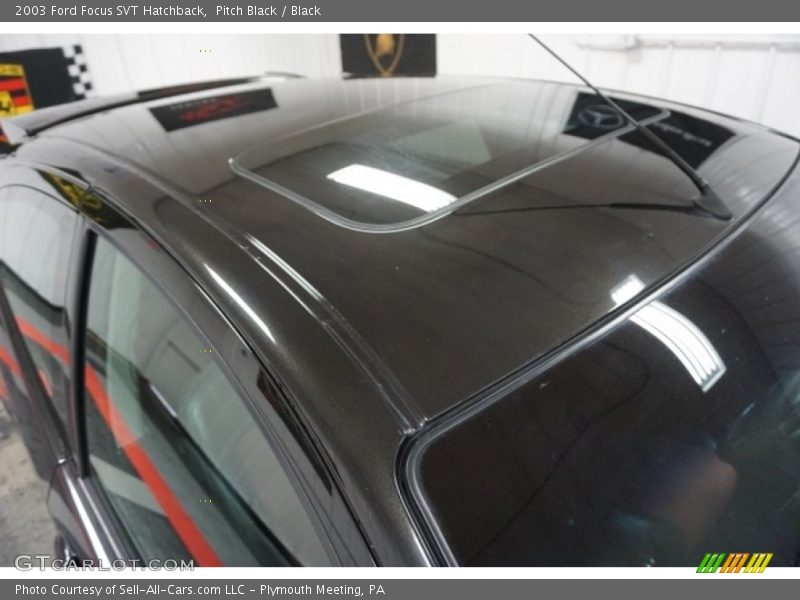 Pitch Black / Black 2003 Ford Focus SVT Hatchback